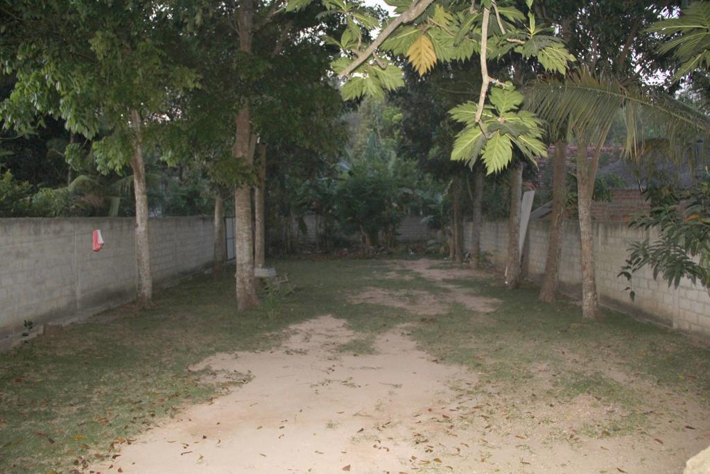 Lionka Guesthouse Mirissa Exterior photo